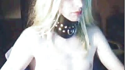 O brunetă cu un fund rotund drăguț linge un penis tare
